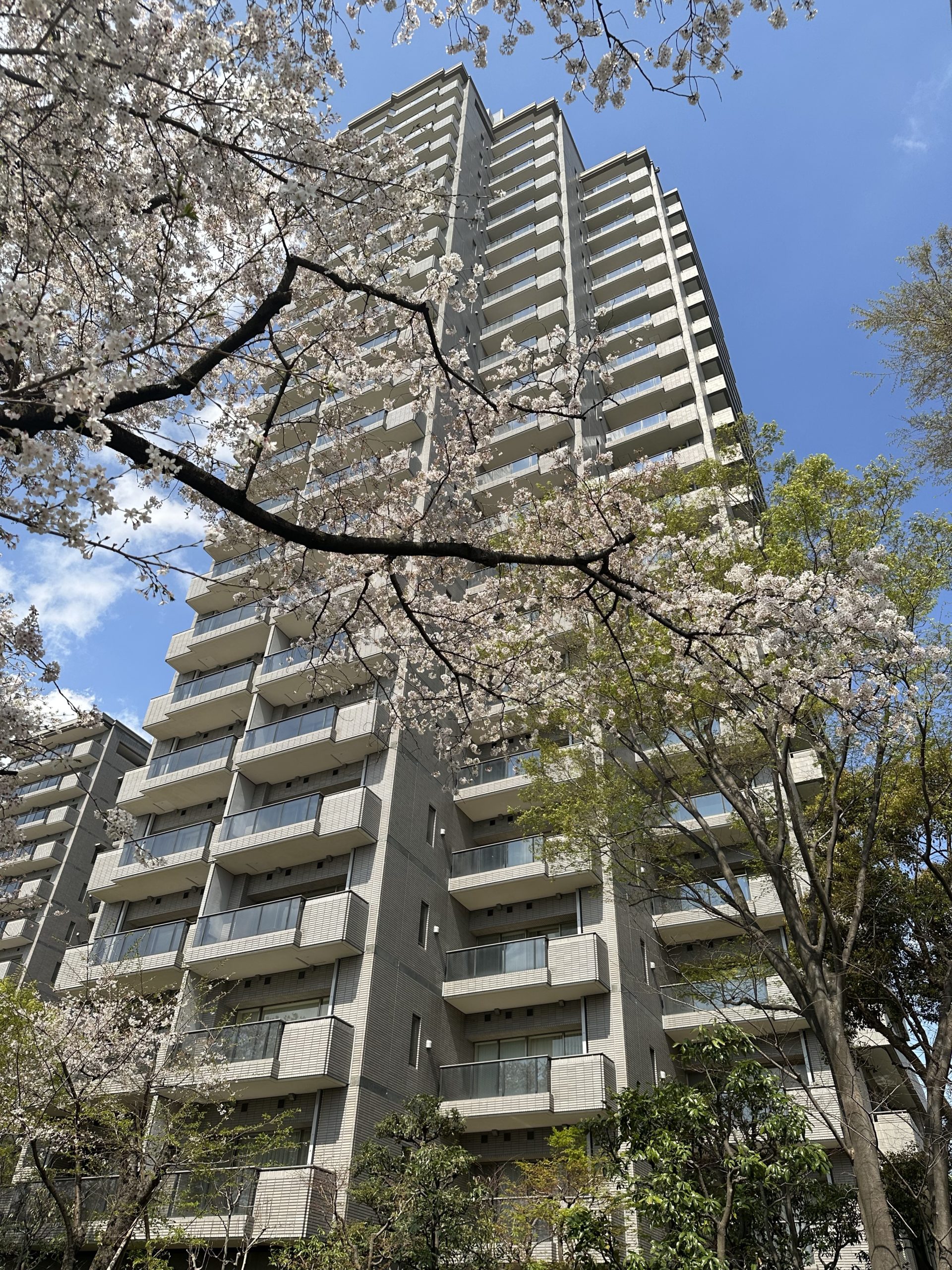 ≪ご売却の媒介受託・三菱地所既分譲リノベM≫パークハウス多摩川 南参番館1102号室・販売価格9,180万円(税込)