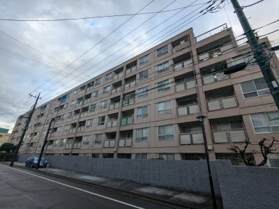 PXL_20250106_230243590