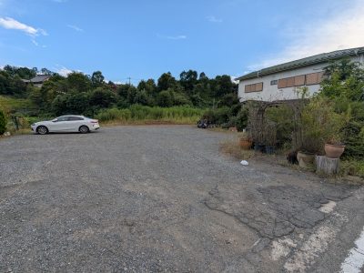 PXL_20250820_073502061